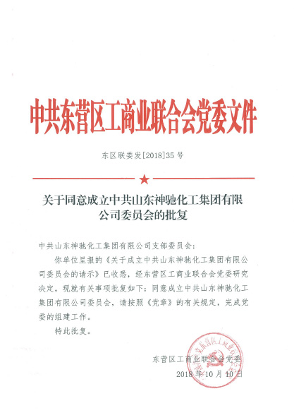 成立新党委，适应新时代，开启新征程，书写新篇章